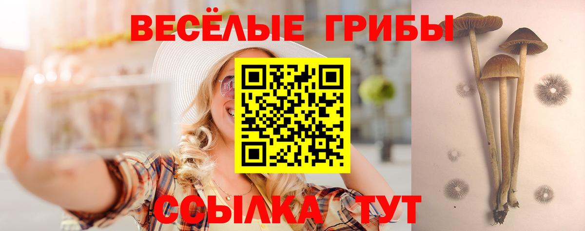 Псилоцибиновые грибы мухоморы  Вход с VPN  дарнет шоп  Кыштым 